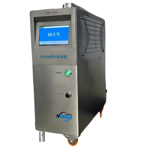 DSF-220風冷型純蒸汽取樣器
